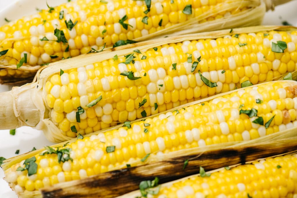 Side view, four ears of grilled corn with husks partially removed, seasoned with butter and chopped basil.