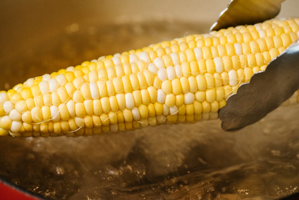 Dropping an ear of corn into boiling water.