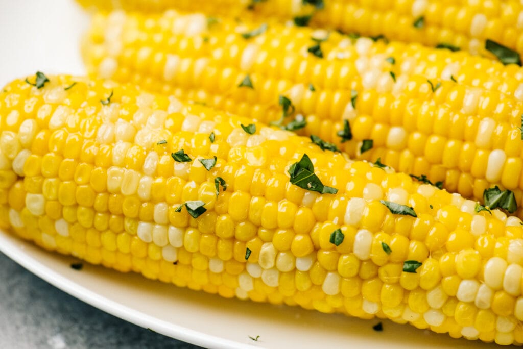 Side view, several ears of boiled corn on a white plate.