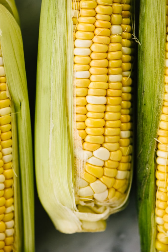 Three ears of partially shucked corn on the cob.