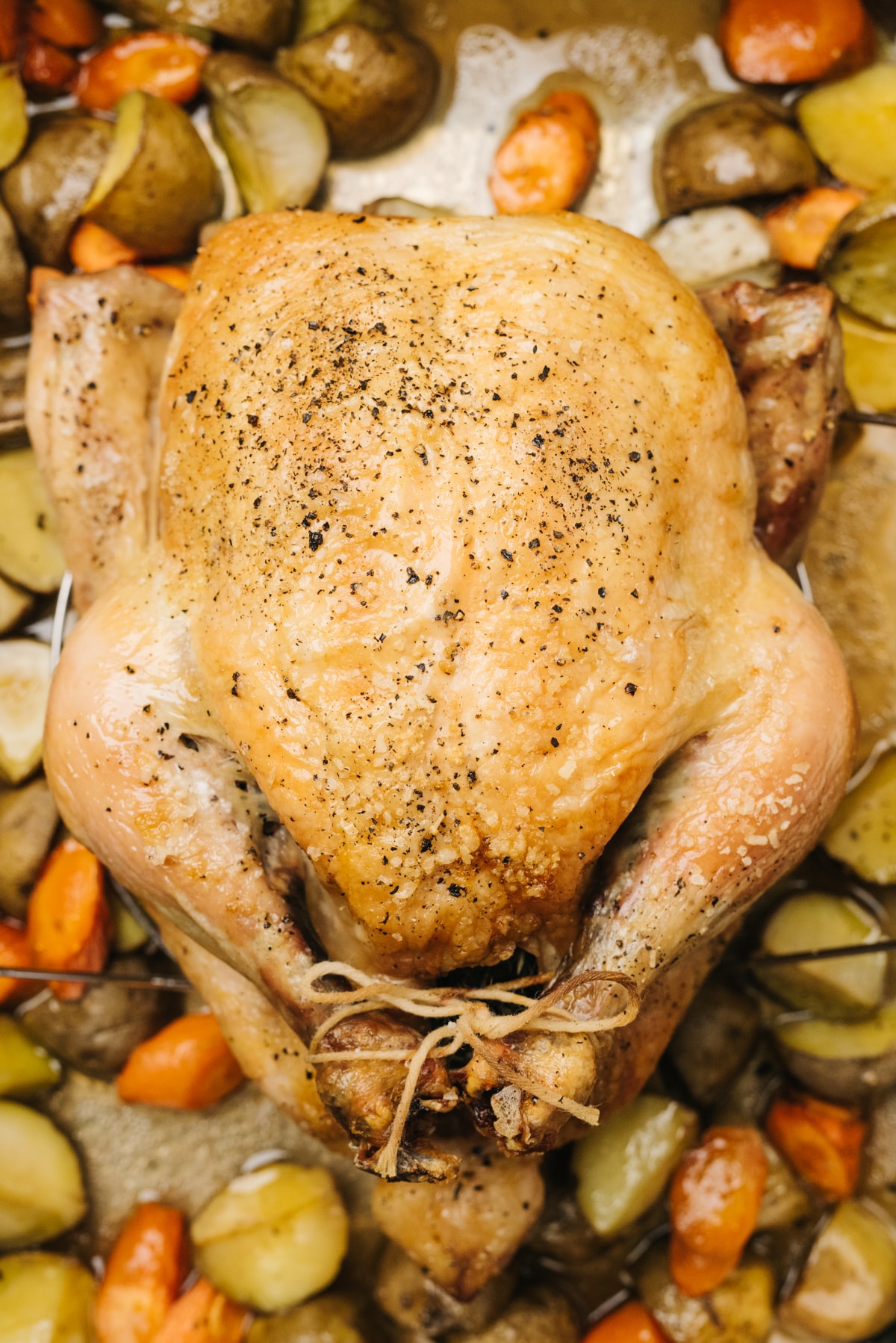 A whole roasted chicken in a roasting pan surrounded by carrots and potatoes.